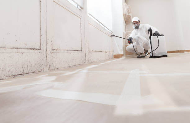 24/7 Emergency Mold Removal experts in Spring, TX